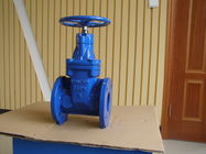 Non Rising Stem 250PSI Resilient Seated Gate Valve